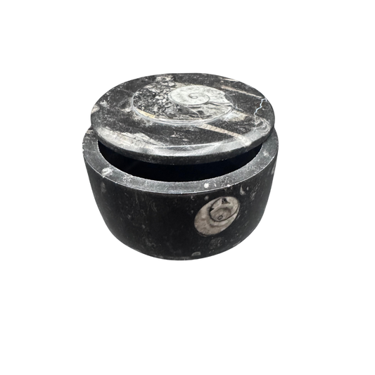 Jewelry box made of stone with fossil