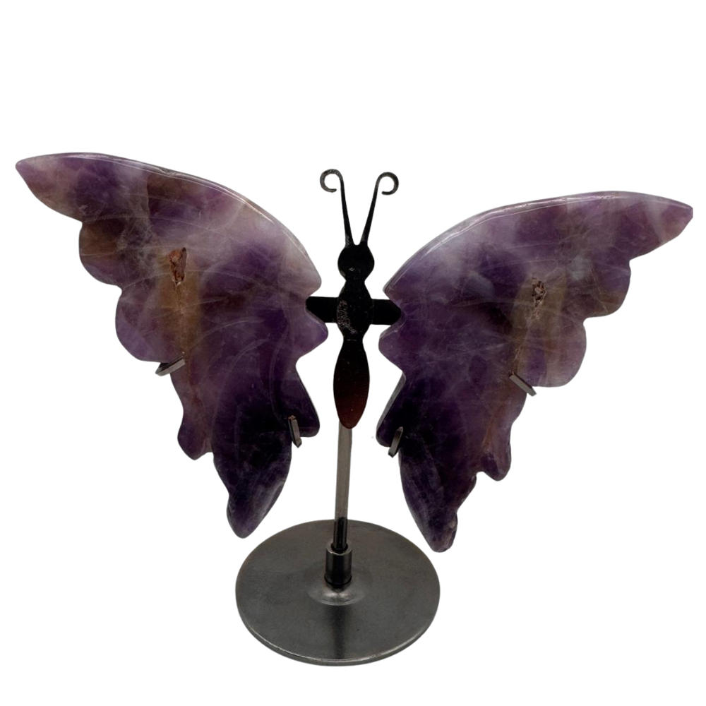 Amethyst Schmetterling