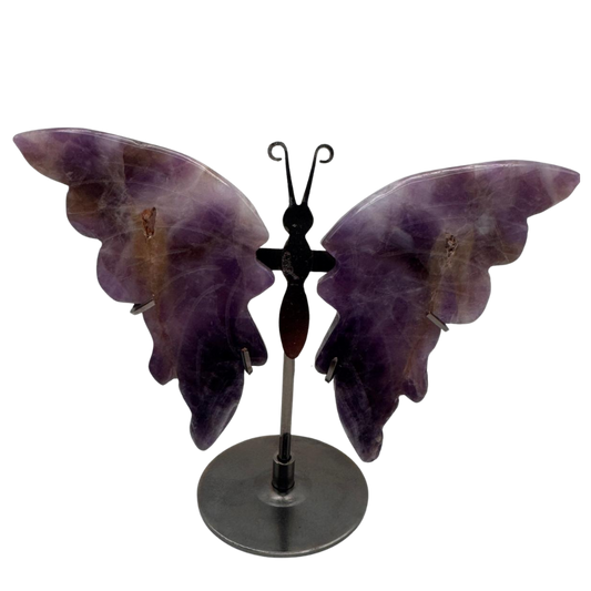 Amethyst Schmetterling