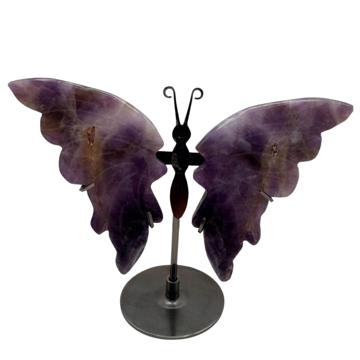 Amethyst Schmetterling