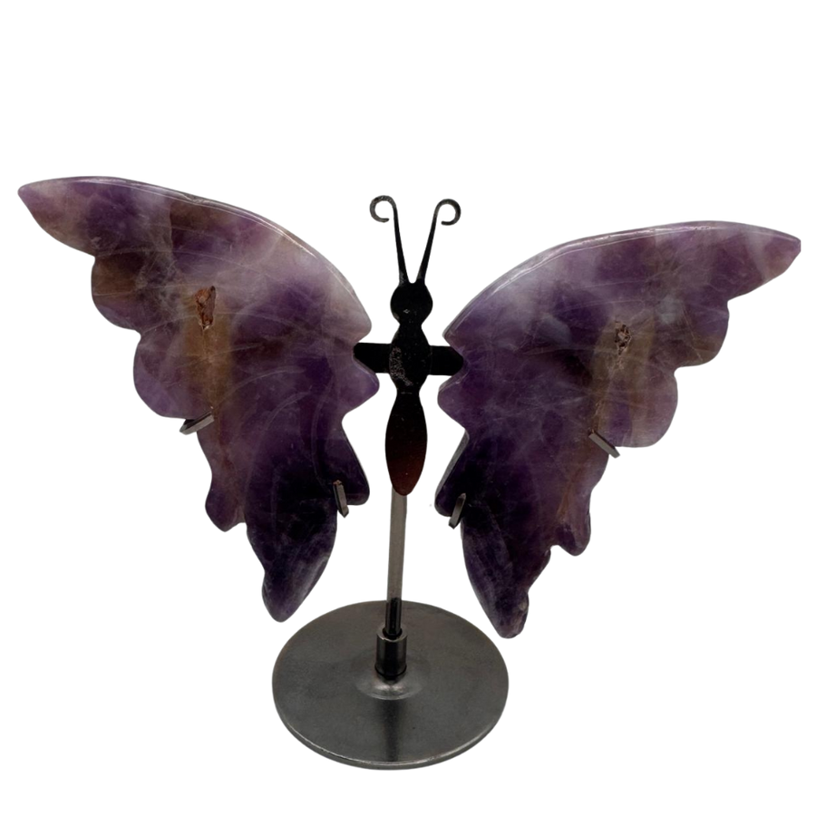 Amethyst Schmetterling