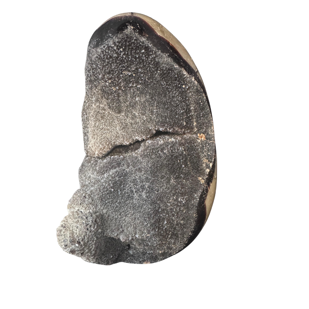 Drachenei Septarien - ca. 1,7 Kilo