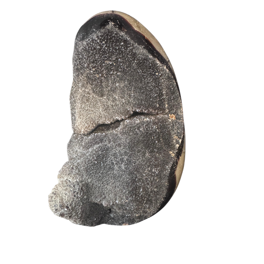 Drachenei Septarien - ca. 1,7 Kilo