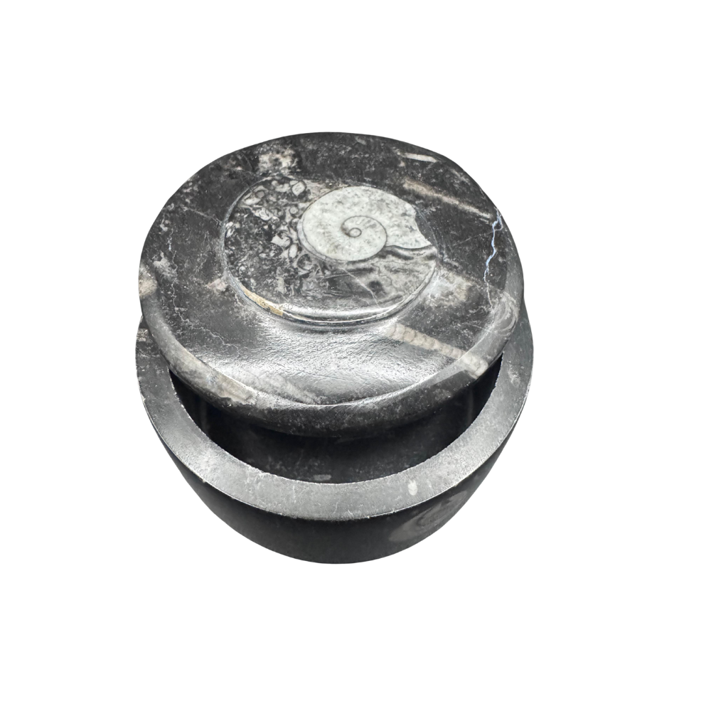 Schmuckdose aus Stein mit Fossil