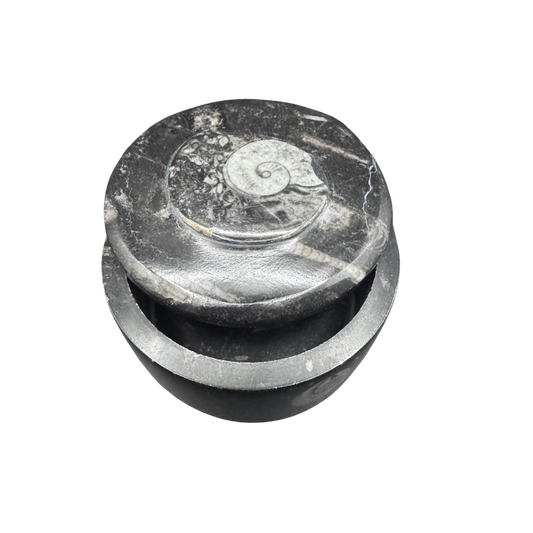 Schmuckdose aus Stein mit Fossil
