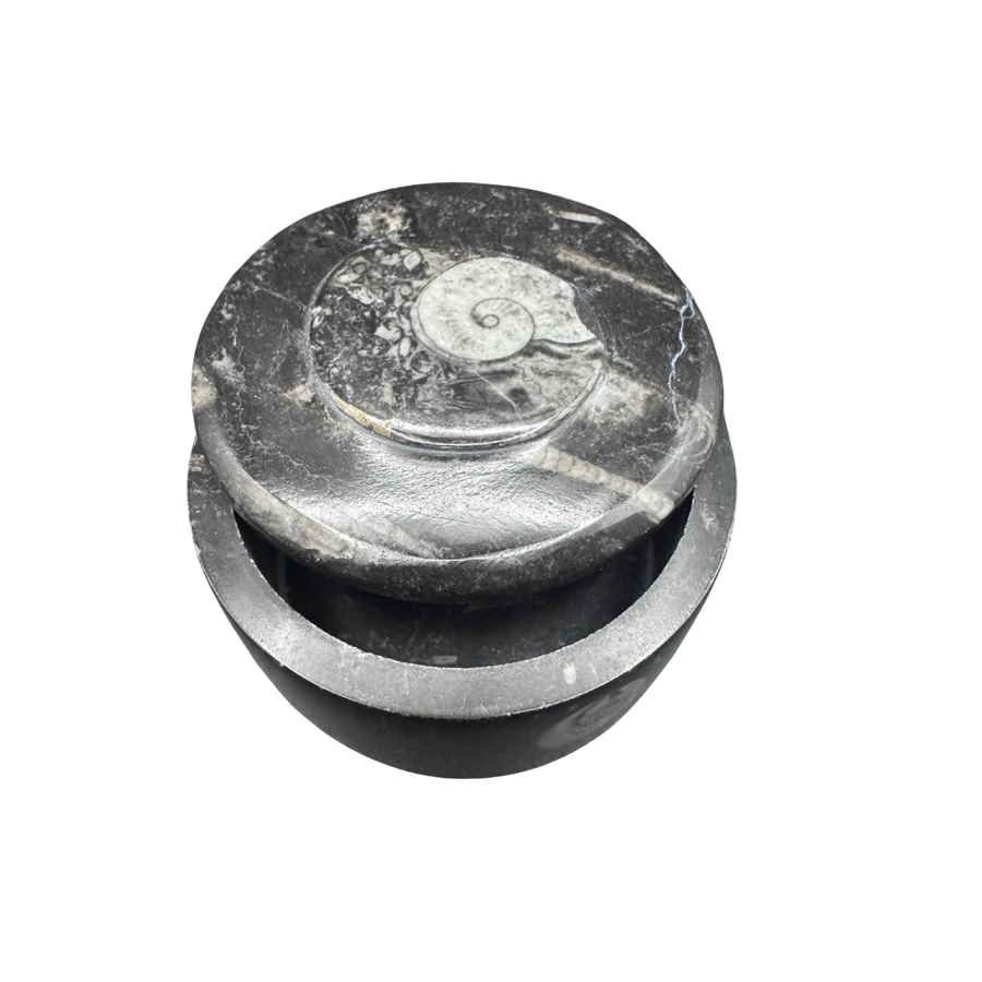 Schmuckdose aus Stein mit Fossil