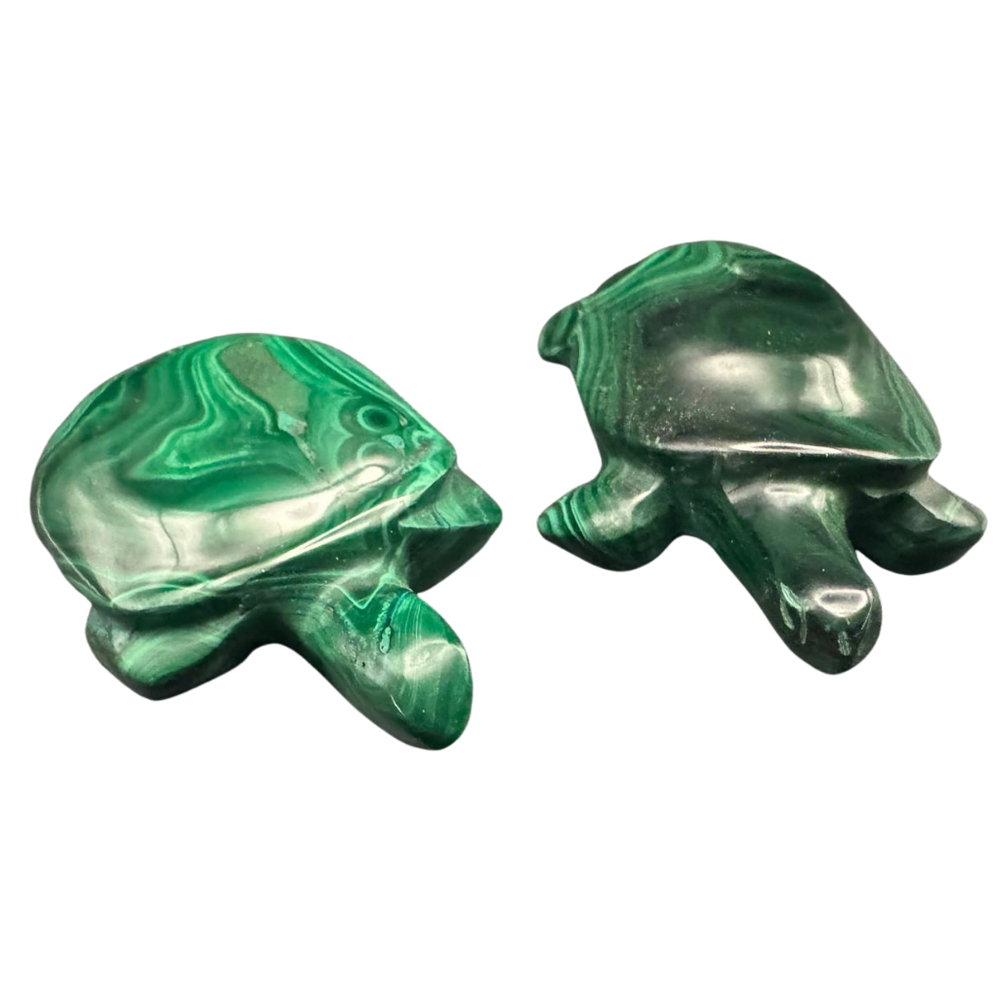Malachit Schildkröte