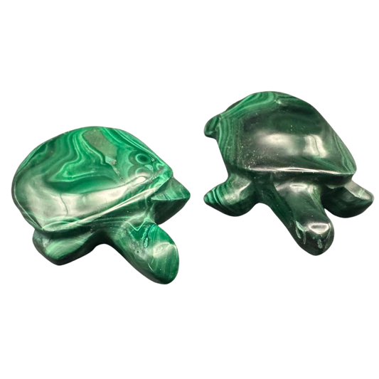 Malachit Schildkröte