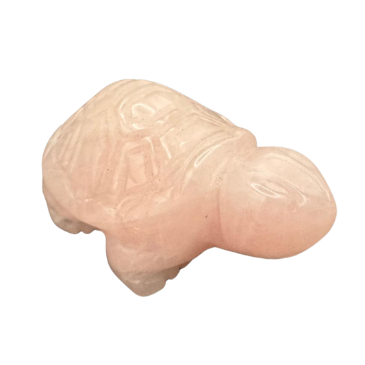 Schildkröte Rosenquarz