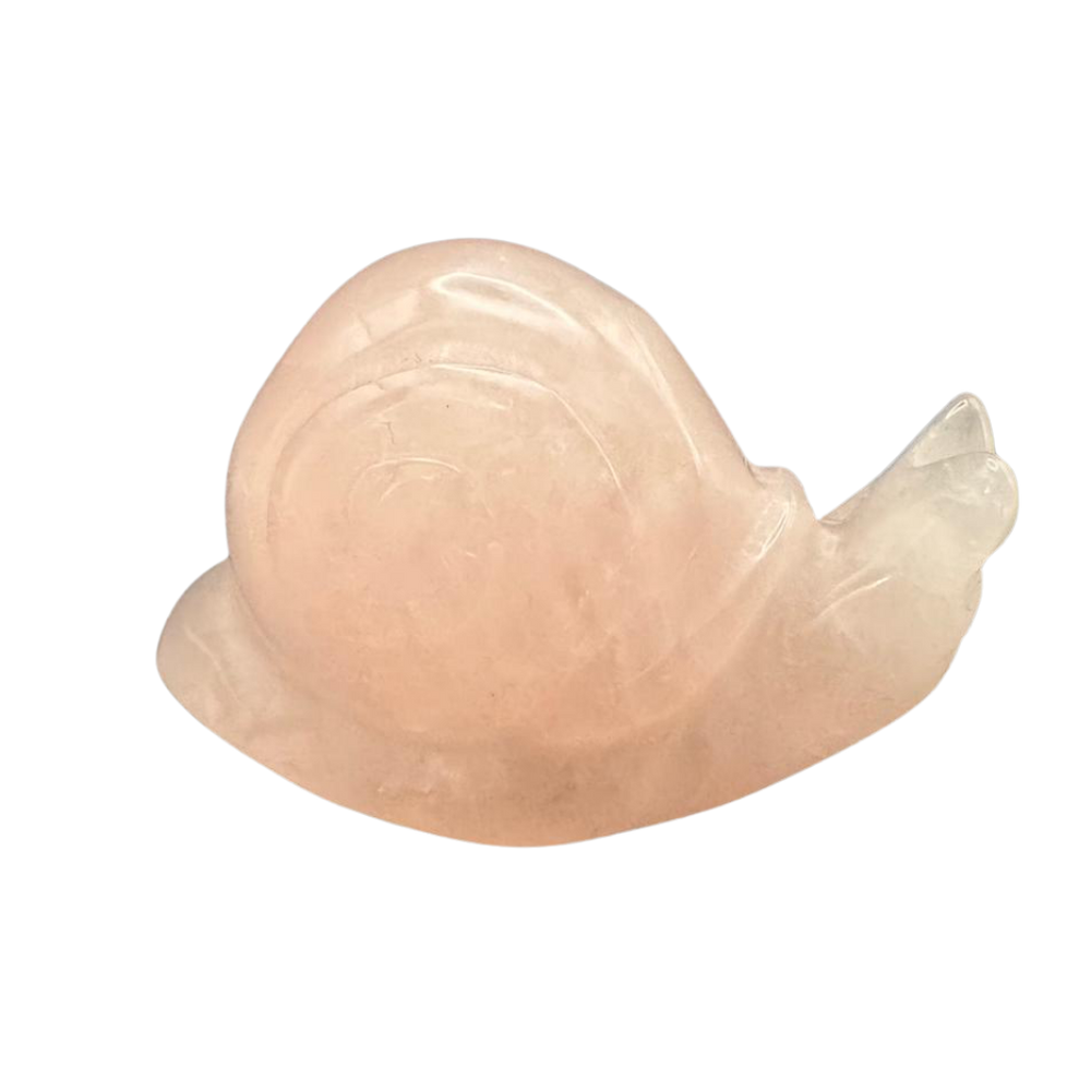 Schnecke Rosenquarz