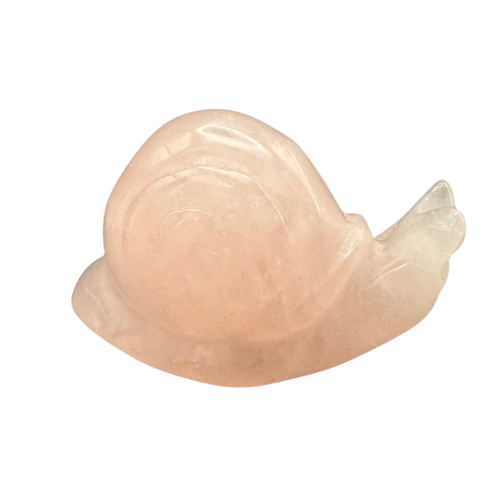 Schnecke Rosenquarz